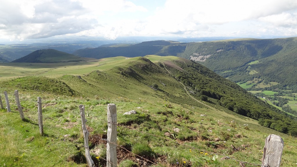 Les Gentianes d'Auvergne